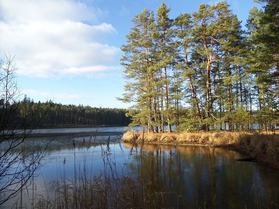 Waldviertel